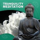 Tranquility Meditation Masters - Warm in You