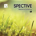 Spective - Warmth of Sunshine Original Mix