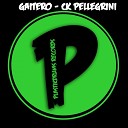 Ck Pellegrini - Gaitero Original Mix