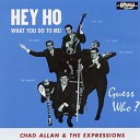 Chad Allan The Expressions - Theme From A Musicbox