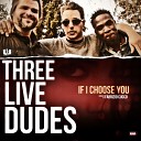 Three Live Dudes P Ali feat Ryan P SkyFace… - If I Choose You Radio Edit