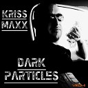 Kriss Maxx - Damage of Conciousness