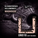Dj Christopher Hellomonkey - Madhouse Gaga Remix