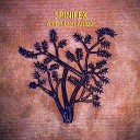 Spinifex - Revathi Tillana