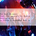 Far East Movement Feat The Cataracs Vs Nexboy - Watermelon G6 Dj Dihops Bananafox Mash Up