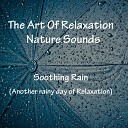 The Art Of Relaxation Nature Sounds - Storm at Night