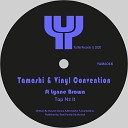 Tamashi Vinyl Convention feat Lynne Brown - Tap N2 It Tamashi Frankie J Key Original Mix