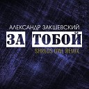 Александр Закшевский - За тобой Shreds Owl Remix