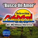 Selecci n Costa Azul de Delfino Sierra - Voy a Conseguir tu Amor