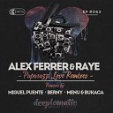 Alex Ferrer Raye - Paparazzi Love ME N U Bukaca Remix