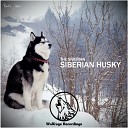 The Siberian - Siberian Husky Original Mix