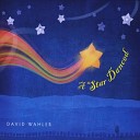David Wahler - Come Gentle Night