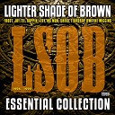 Lighter Shade Of Brown feat Jay Tee Kid Frost - Presidential