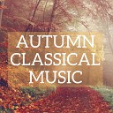 Alberto Lizzio - The Four Seasons Op 8 Violin Concerto No 3 in F Major RV 293 Autumn II Adagio…