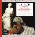 Ensemble instrumental de France Philip Bride - Concerto en mi majeur pour violon cordes BWV 1042 Allegro…