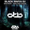 Black Mafia DJ - Spilled Liquid