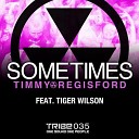 Timmy Regisford - Sometimes Instrumental