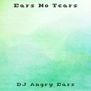 DJ Angry Ears - Flavor Of A Broken Heart