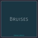 Dominic LaRocca - Bruises