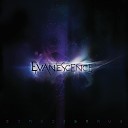 Evanescence - The Other Side