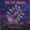Big Fat Snake - Never Had It So Good