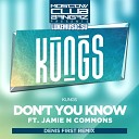 Kungs feat Jamie N Commons - Don t You Know Denis First Mix