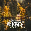 VERBEE - Золотая осень Techno Project…