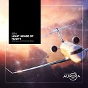 8 P M - Light Sense Of Flight Original Mix