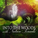 Waterfall Sounds Universe - Meditate with Sound of Waterfalls