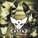 Cattac - Hold on Your Souls