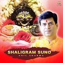 Anil Sharma - Shaligram Suno