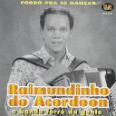 Raimundinho do Acordeon Banda Forr da Gente - Amor N o Brinquedo