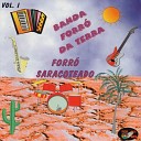 Banda Forr da Terra - Filhos do Sert o