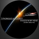 Ecstacy T Phonique - Voices In My Head