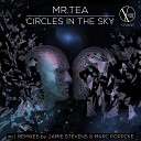 Mr Tea - Circles In The Sky