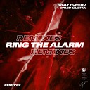 Nicky Romero David Guetta - Ring The Alarm Teamworx Remix