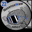 Nathan F - Indeed Nosense