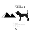 Rio Padice - Woodland Alex Picone Remix