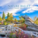 Natural Healing Music Zone - Forest Creek