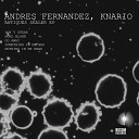 Andres Fernandez - Nord Blond Original Mix