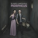 In Strict Confidence - Morpheus ANDYK Remix