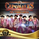 Los Caporales De Chihuahua - Tonto Coraz n
