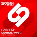 Daav One - What Original Mix