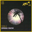 Type 2 - Spring Snow Original Mix