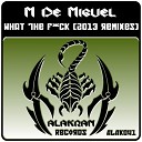 M De Miguel - What The Fuck 2013 Remix