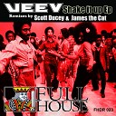 Veev - Shake It Up James The Cat Remix
