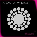 Decoder Costa Rica - A Bag Of Whispers No People s Beatless