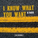 B tiger - I Know What You Want