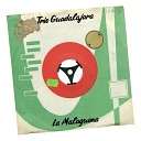 Trio Guadalajara - La Malaguena