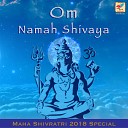 Rajneesh Mishra Ritesh Mishra - Shiva Gayatri Mantra at 432 Hz
